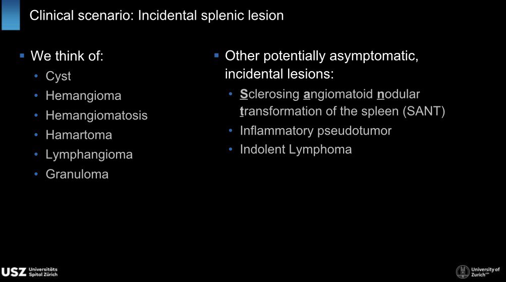 Soleen Stocker-Ghafoor tweet media
