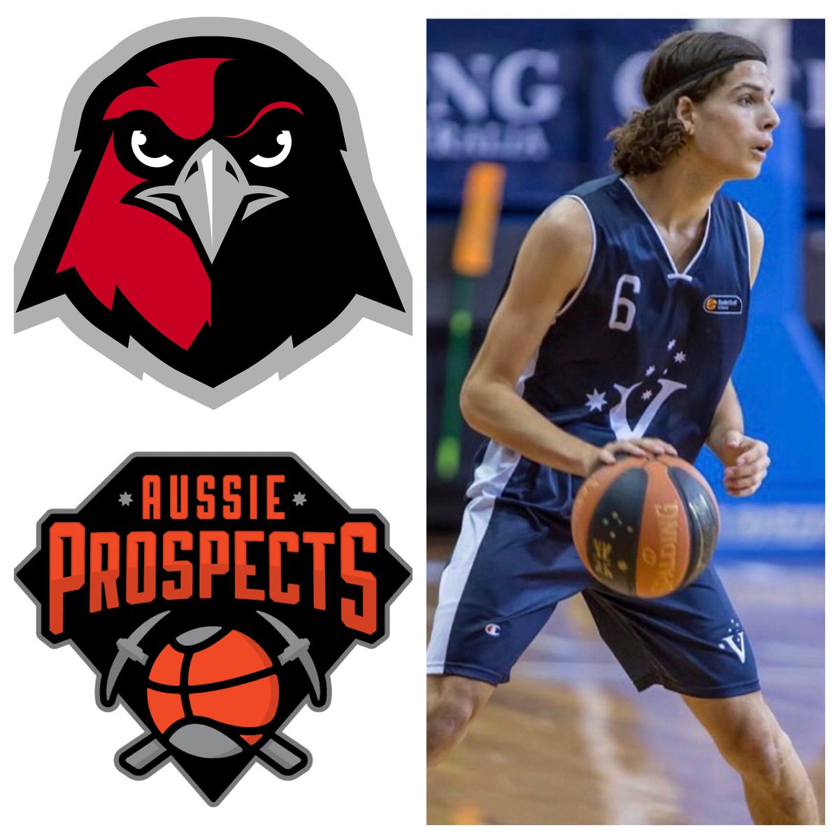Congratulations to PG Joe Mutimer (Class 2020) on receiving an offer from Holy Names University (NCAA II) <a href="/ProspectsAussie/">Aussie Prospects</a> <a href="/JoeMutimer/">Joe Mutimer</a>