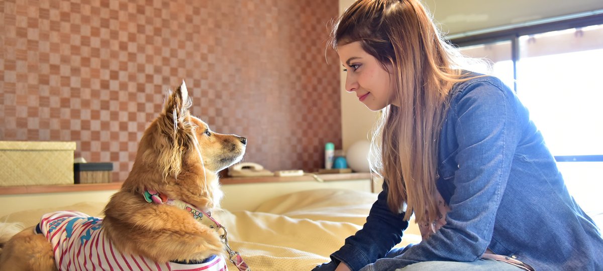 ペット宿ドットコム Petyado 新着お宿情報 千葉県 じゃぱり館山 旧 しぶごえ館山 穏やかな南房総で愛犬と過ごす かけがえのない時間 誰にも遠慮せず ストレスフリーでハッピーな休日がはじまります 都心から一番近い南国リゾートで とっておき