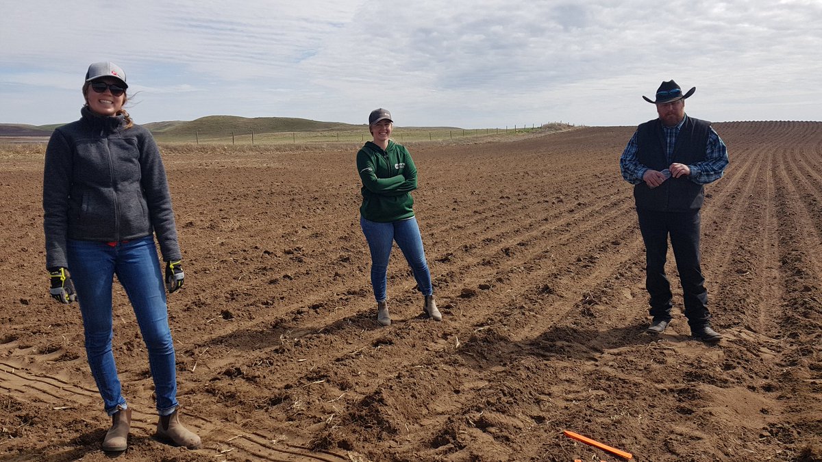 JoannaCanterra's tweet photo. A great day to plant a #PrideSeedscorn trial. Thanks #SpringwaterColony Mike and Andy, #GMacs Meredith, and #PrideSeeds Sara. https://t.co/W6qFgXKA10