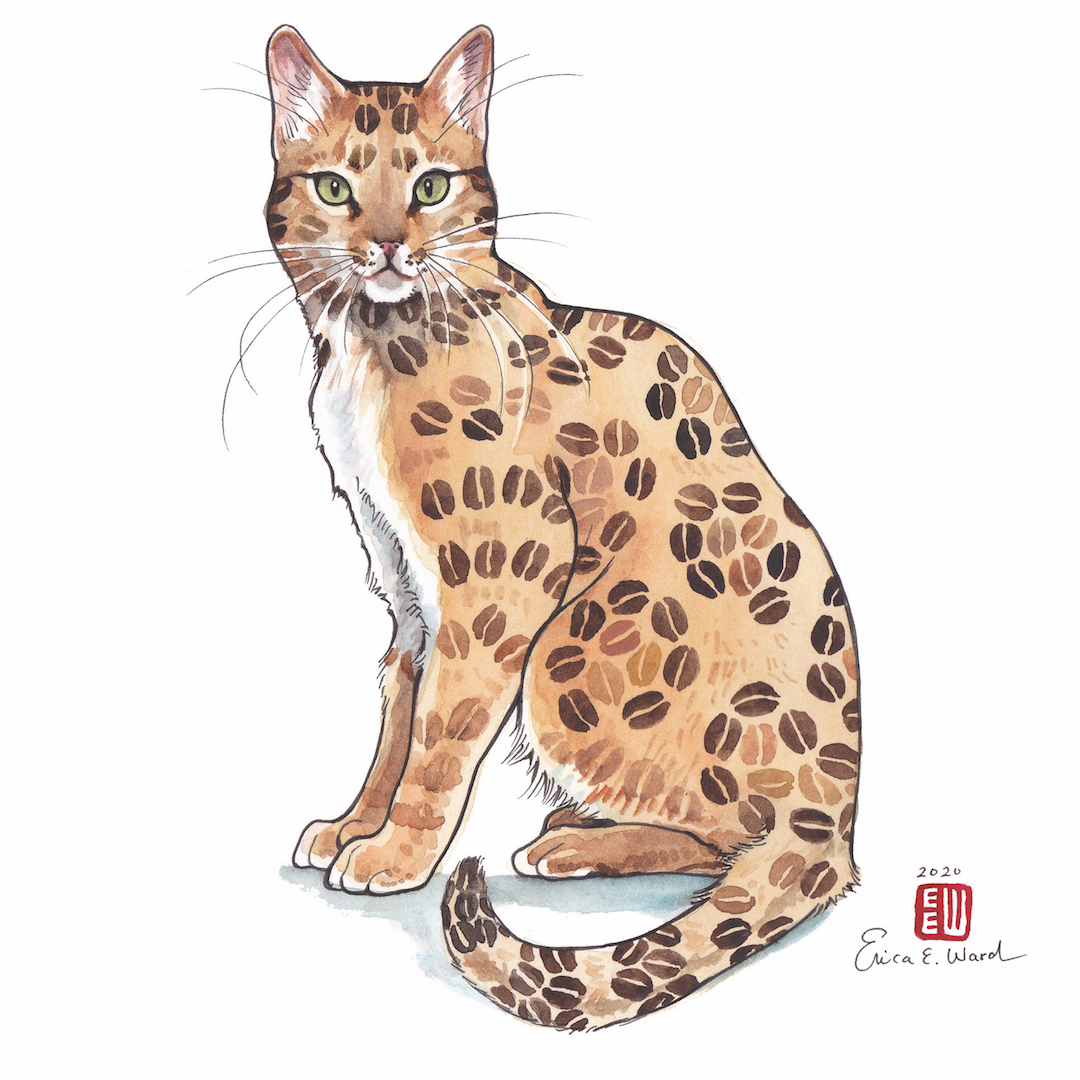 Erica Ward Ar Twitter コーヒー豆ベンガル Clouds Apc とコラボした猫xコーヒープロジェックトのイラストの一つ 今限定販売でオリジナル猫のデザインのパケージ コーヒーのドリップパック4つ 猫イラストポストカード4つをセットで購入できます T Co Erica Ward Ar Twitter コーヒー豆ベンガル Clouds Apc とコラボした猫xコーヒープロジェックトのイラストの一つ 今限定販売でオリジナル猫のデザインのパケージ コーヒーのドリップパック4つ 猫イラストポストカード4つをセットで購入できます T Co