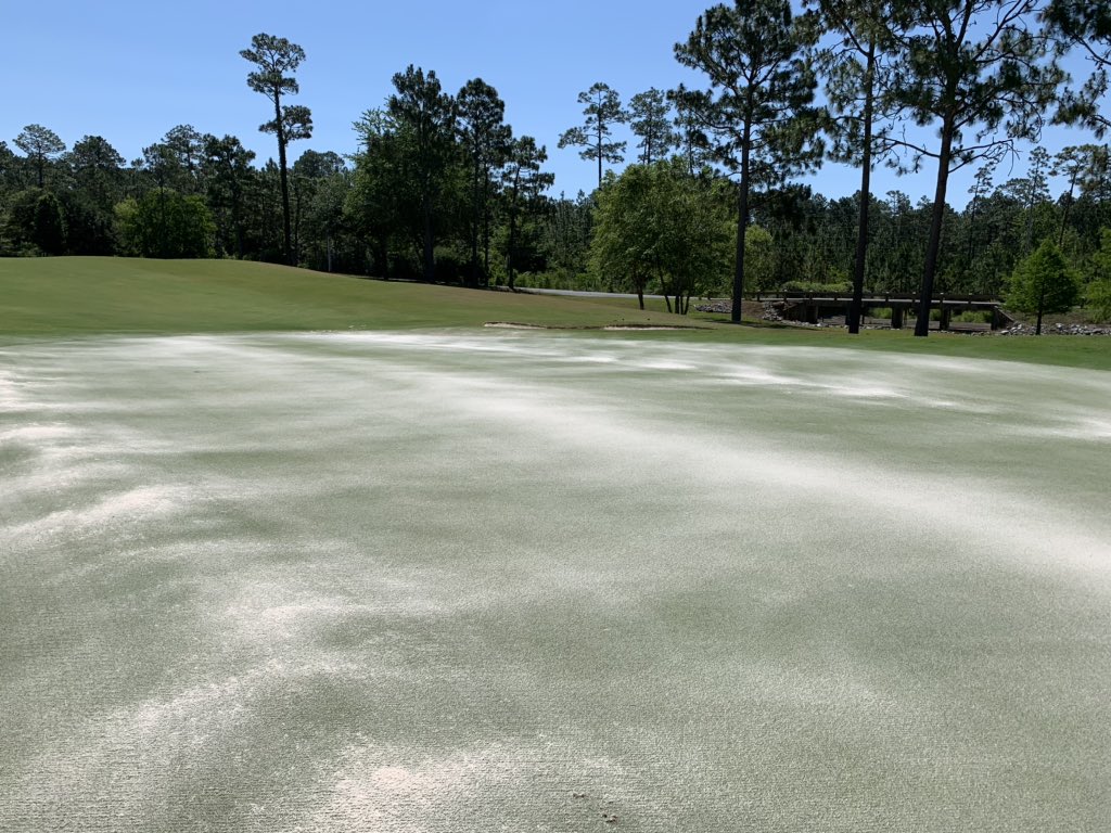 JCChildree's tweet photo. Verticutter doing its thing, backtrack mow with triplex at 2.5mm, topdress with ProPass (🤢), cocoa mat drag, soils spray, heavy watering. Quality finish!! 👍🏿 Now it may rain. #topdresstuesday #skecherswithnostrings2x https://t.co/kF4m85Vkbc