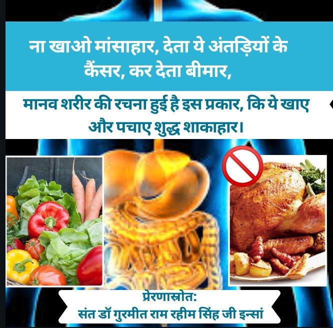 Uzivatel Sudesh Arora Insan Bathinda Na Twitteru Adoptvegetariandiet Saint Dr Gurmeetramrahim Singh Ji Insan Says That We Should Always Avoid Non Vegetarian Food And Eat Vegetarian Food Because Veg Food