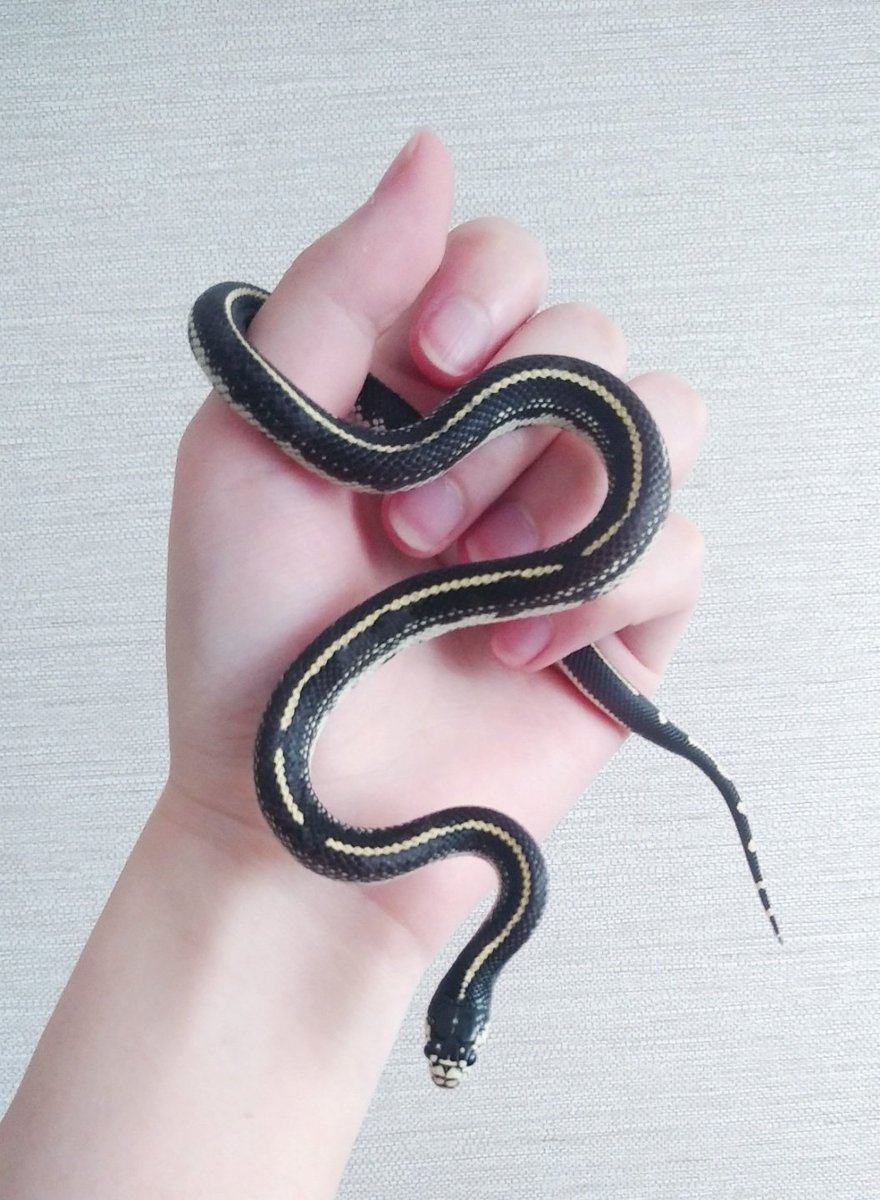 쪼만이들도 굉장히 잘 지내고 있음