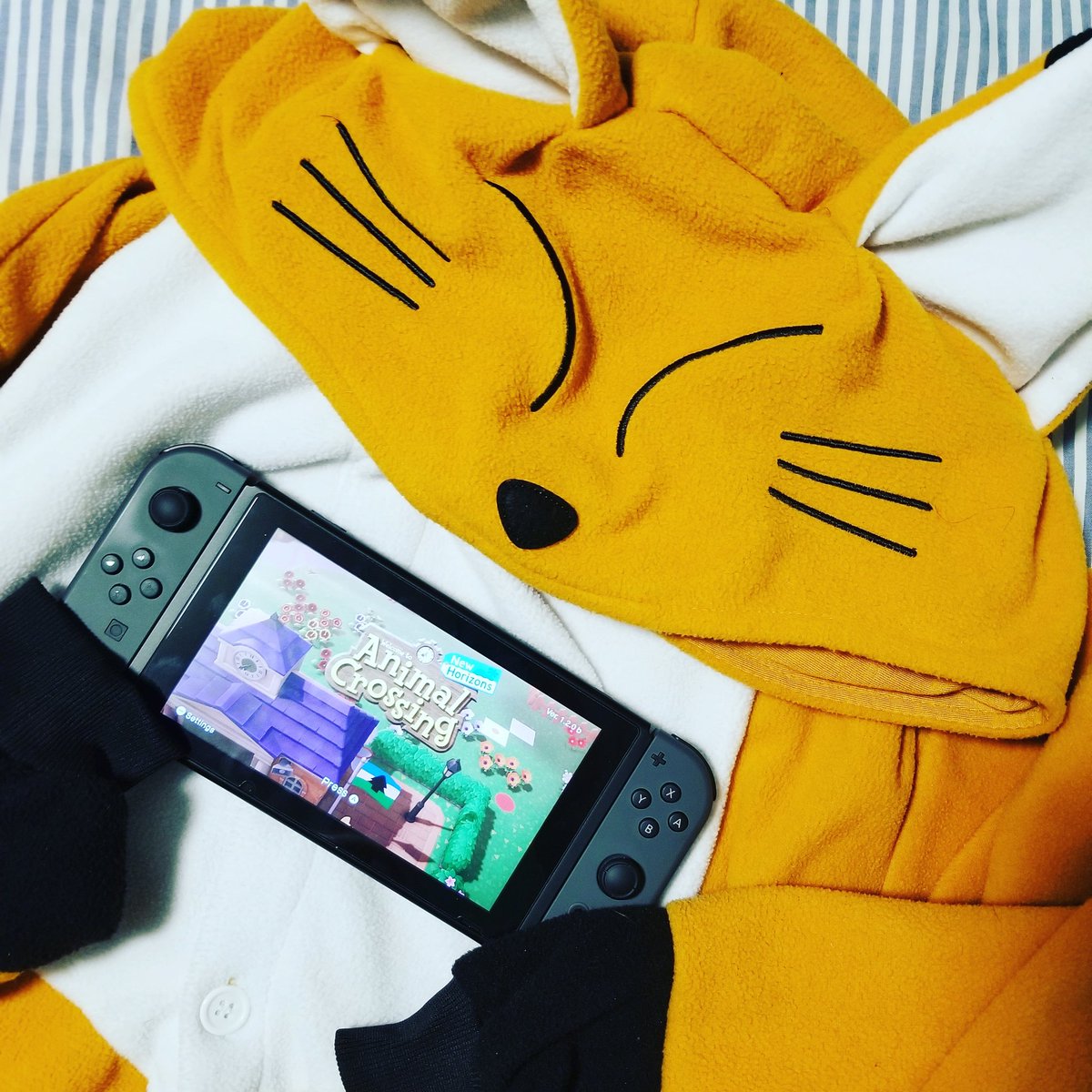 MohrPleasePod's tweet photo. The plan for the night? Cozy kigu and #ACNH 🦊❤️ https://t.co/GHkAK1T6Pd
