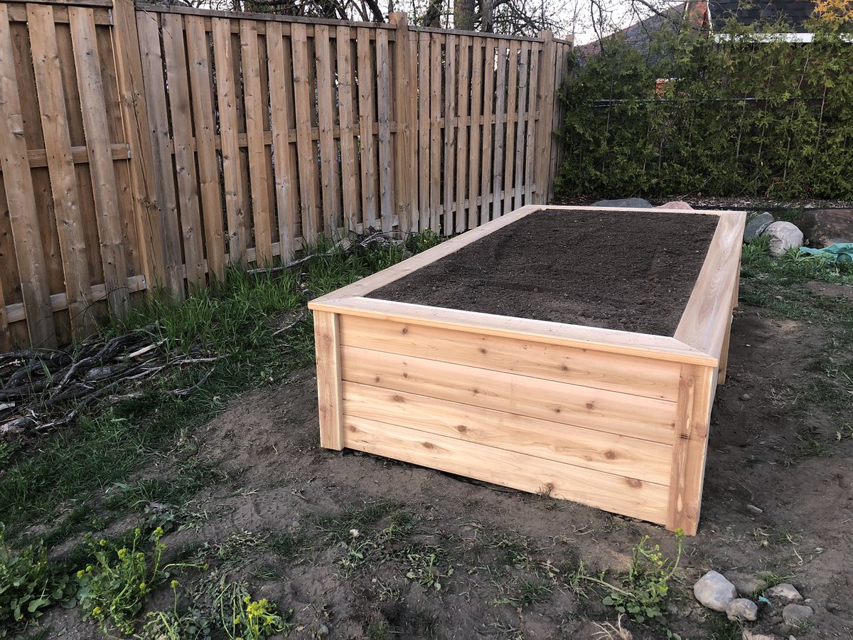 Day 6/7. My life in pictures. Rules - no words, no people. I was nominated by <a href="/nat_bittner/">Natalie Bittner</a>. #projectComplete