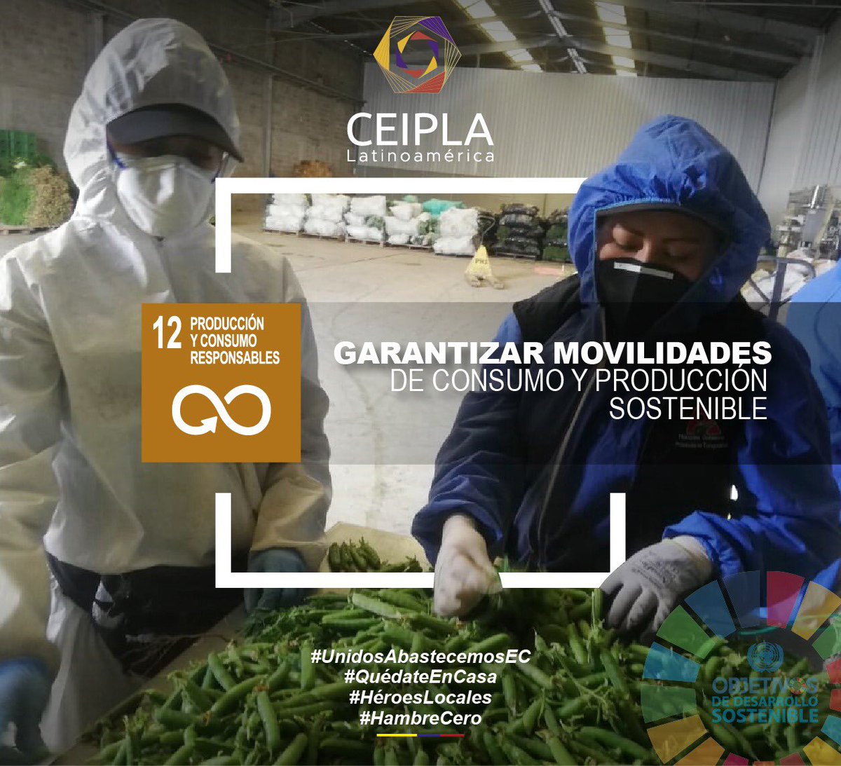 ceipla_latam's tweet photo. Todos los proyectos que salen de ceipla se basan en el objetivo número 12 de Desarrollo Sostenible de la ONU el cual habla de una producción y un consumo responsable. #JuntosEcuador #UnidosAbastecemosEC #ceipla https://t.co/onbif46JCE