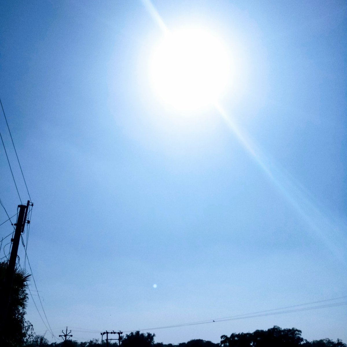 KRISHNARUIDAS10's tweet image. 2 day&apos;s ago weather.....
সূর্যস্নাত আমার শহর , সবুজের সাথী আকাশ-ক্ষেত❤️