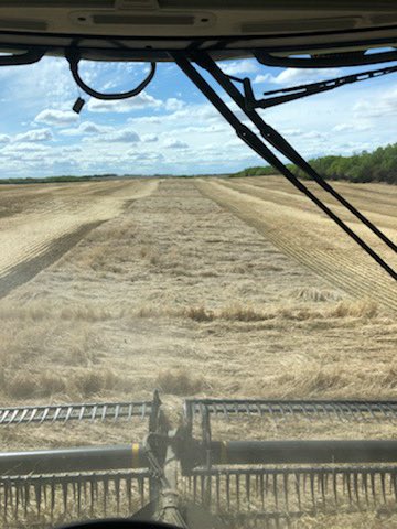 #Harvest19 done , and on its 1st birthday #Macdon simply amazing . Big thanks to my spring team for making it happen.