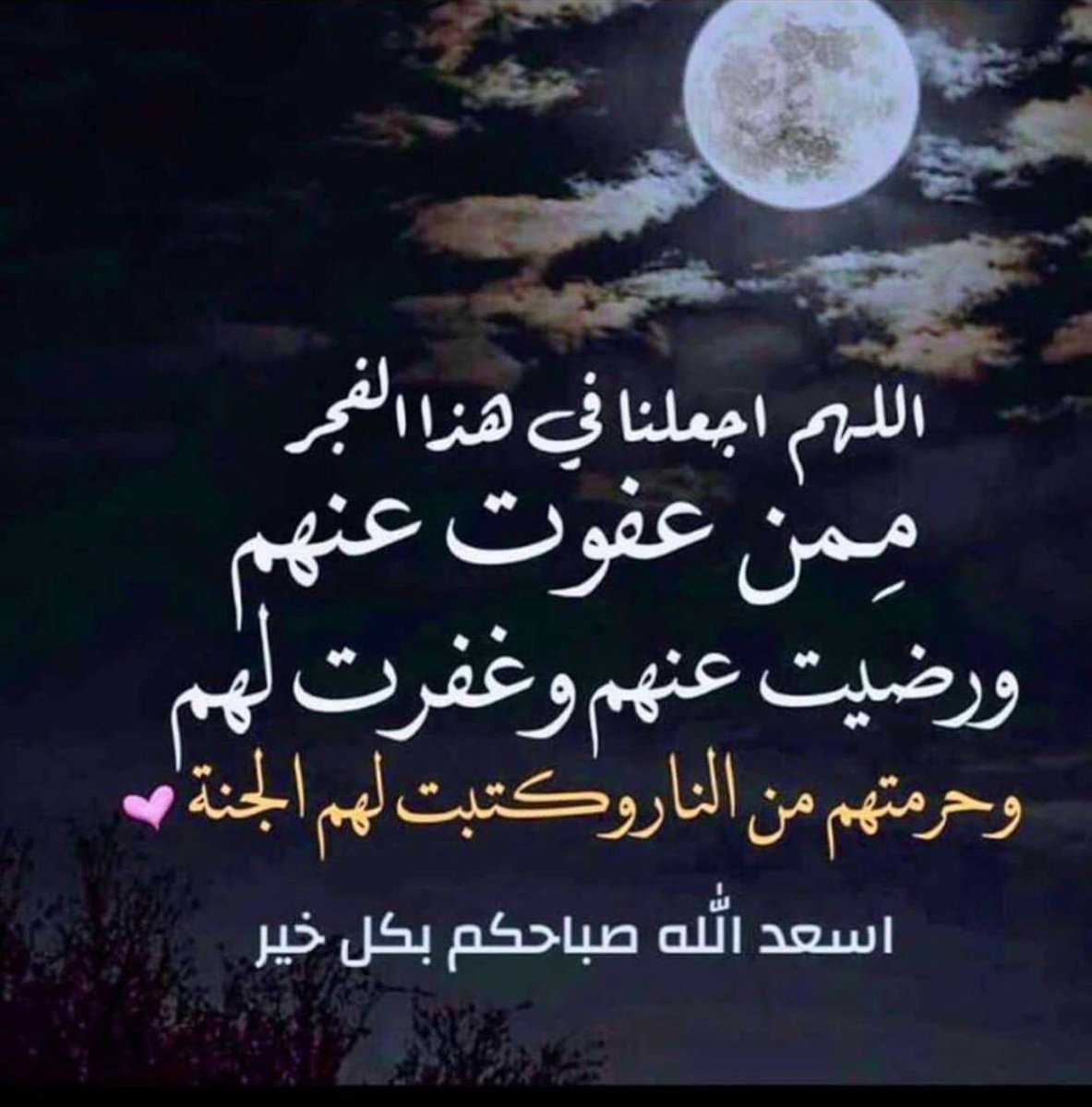 Aqeel Abdulqader tweet media