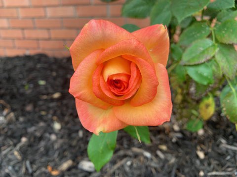 mkeithsmith's tweet image. 