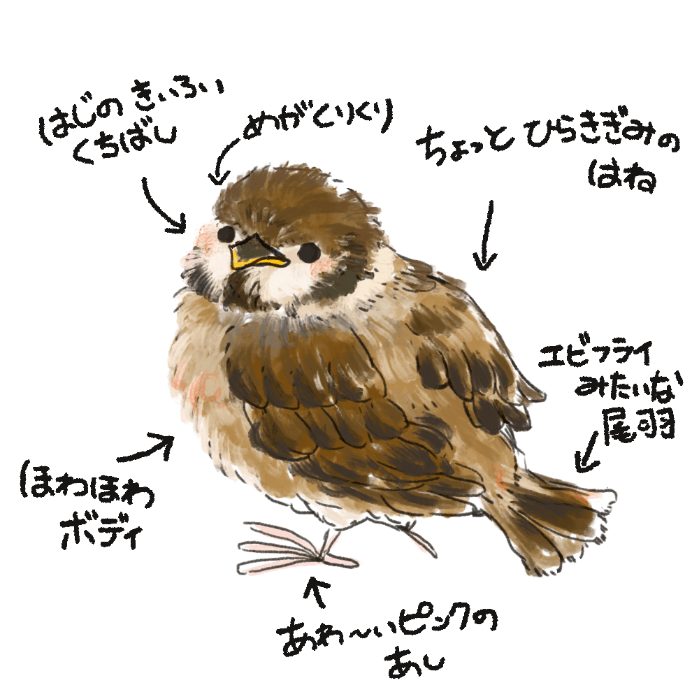 カモメノチヨ この時期の巣立ちちゅん かわいすぎません これで地面をぴょんぴょんしながらご飯を貰ってるのが尊くて尊くて 頑張って大きくなってね って感じです かわいい イラスト 動物アート 動物 イラスト 鳥イラスト すずめ ちゅん活