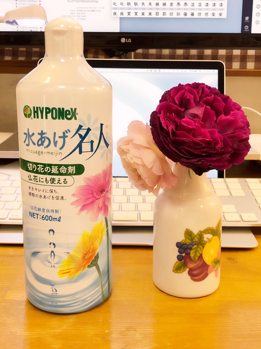 藤田重信 昨日の花瓶の薔薇が長持ちするものを近くのドラッグストアで買った おおお ここにも筑紫丸ゴシックが ただこのての商品はなぜ 延命剤 と言う夢の無い単語を使うんだろうかね 切り花という行為が後は死ですみたいに感じてしまうな 普通に