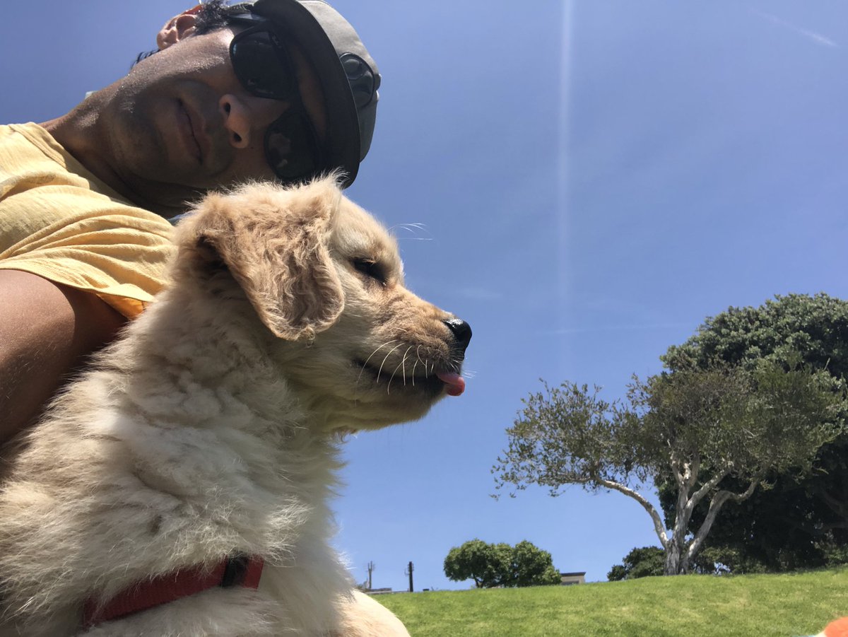 marc lucero tweet media