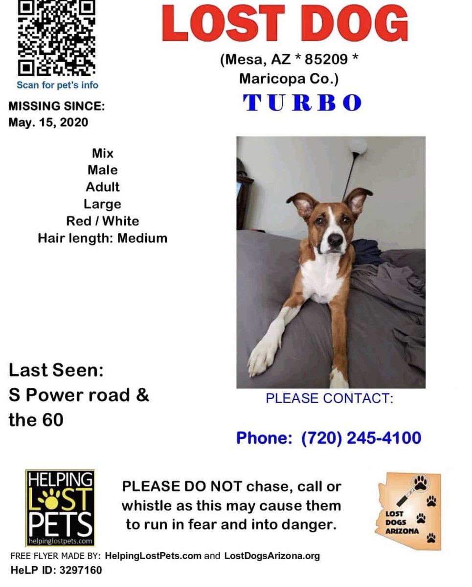 RadoNoah's tweet photo. ❕****Please retweet****❕
One of my best friends dog is still missing #BringTurboBack 🙏🏻 https://t.co/N17vtrVWQJ