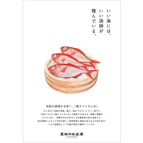 唐仁原多里 農林中央金庫の広告 千葉県の銚子の 銚子つりきんめ を描きました 唐仁原多里 Taritojimbara 千葉 銚子 金目鯛 つりきんめ 魚 料理 海 Food Illustration Illustrator 漁師 Design イラスト イラストレーション Art