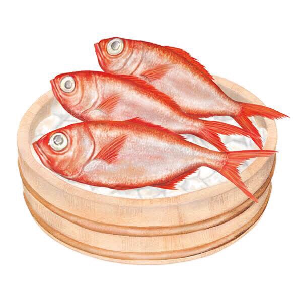 唐仁原多里 農林中央金庫の広告 千葉県の銚子の 銚子つりきんめ を描きました 唐仁原多里 Taritojimbara 千葉 銚子 金目鯛 つりきんめ 魚 料理 海 Food Illustration Illustrator 漁師 Design イラスト イラストレーション Art 唐仁原多里 農林中央金庫の広告 千葉県の銚子の 銚子つりきんめ を描きました 唐仁原多里 Taritojimbara 千葉 銚子 金目鯛 つりきんめ 魚 料理 海 Food Illustration Illustrator 漁師 Design イラスト イラストレーション Art