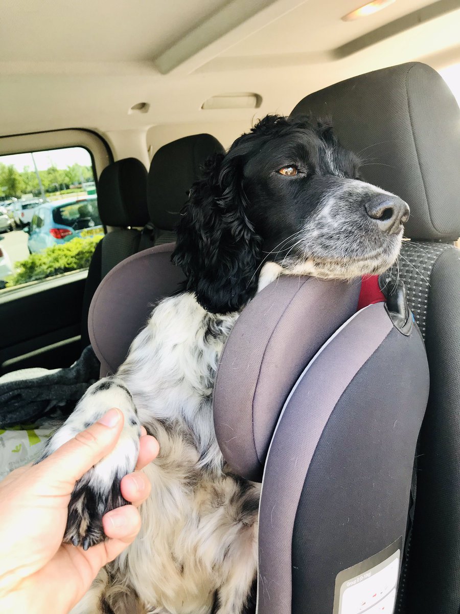 nora o’ shea 🌈💙💙💙 tweet media