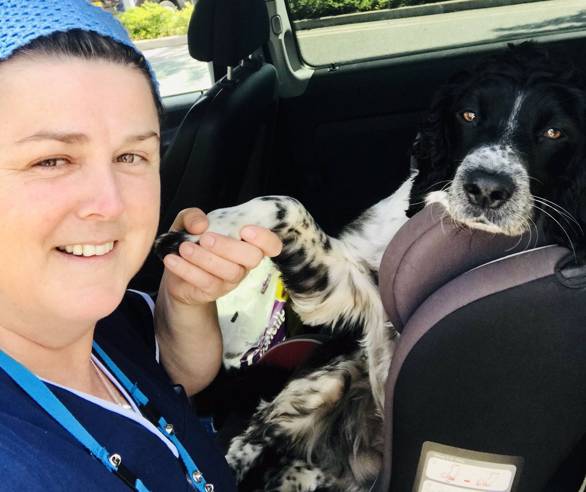 nora o’ shea 🌈💙💙💙 tweet media