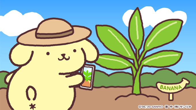ポチャッコくんに写真送ってあげるんだ～♪ 