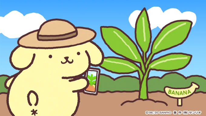 ポチャッコくんに写真送ってあげるんだ～♪ 