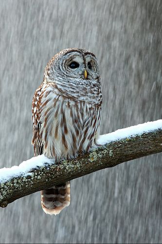 TicaProductions's tweet image. Inspiration. #Cinematic #VisualDirector