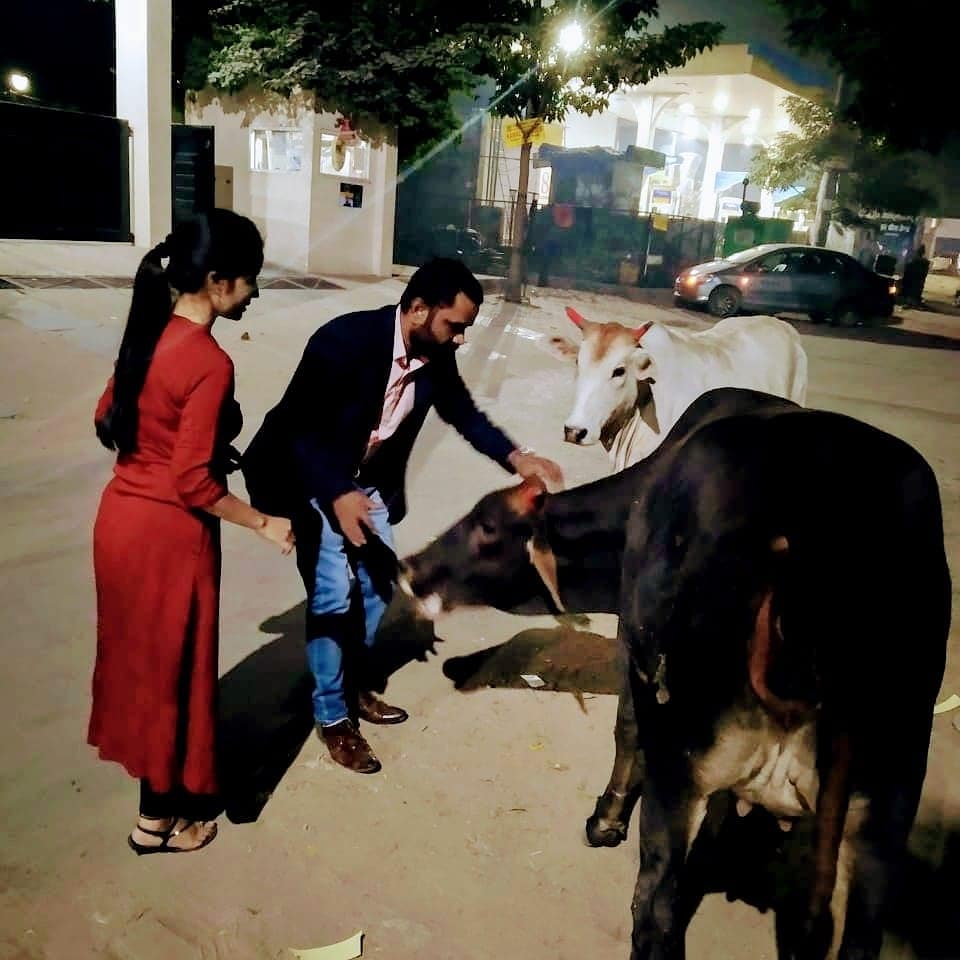 Bhartiya Gau Raksha Dal tweet media