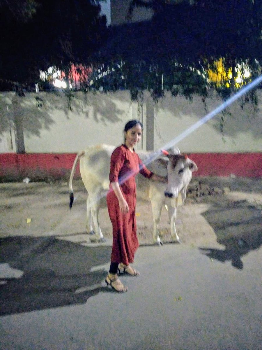 Bhartiya Gau Raksha Dal tweet media