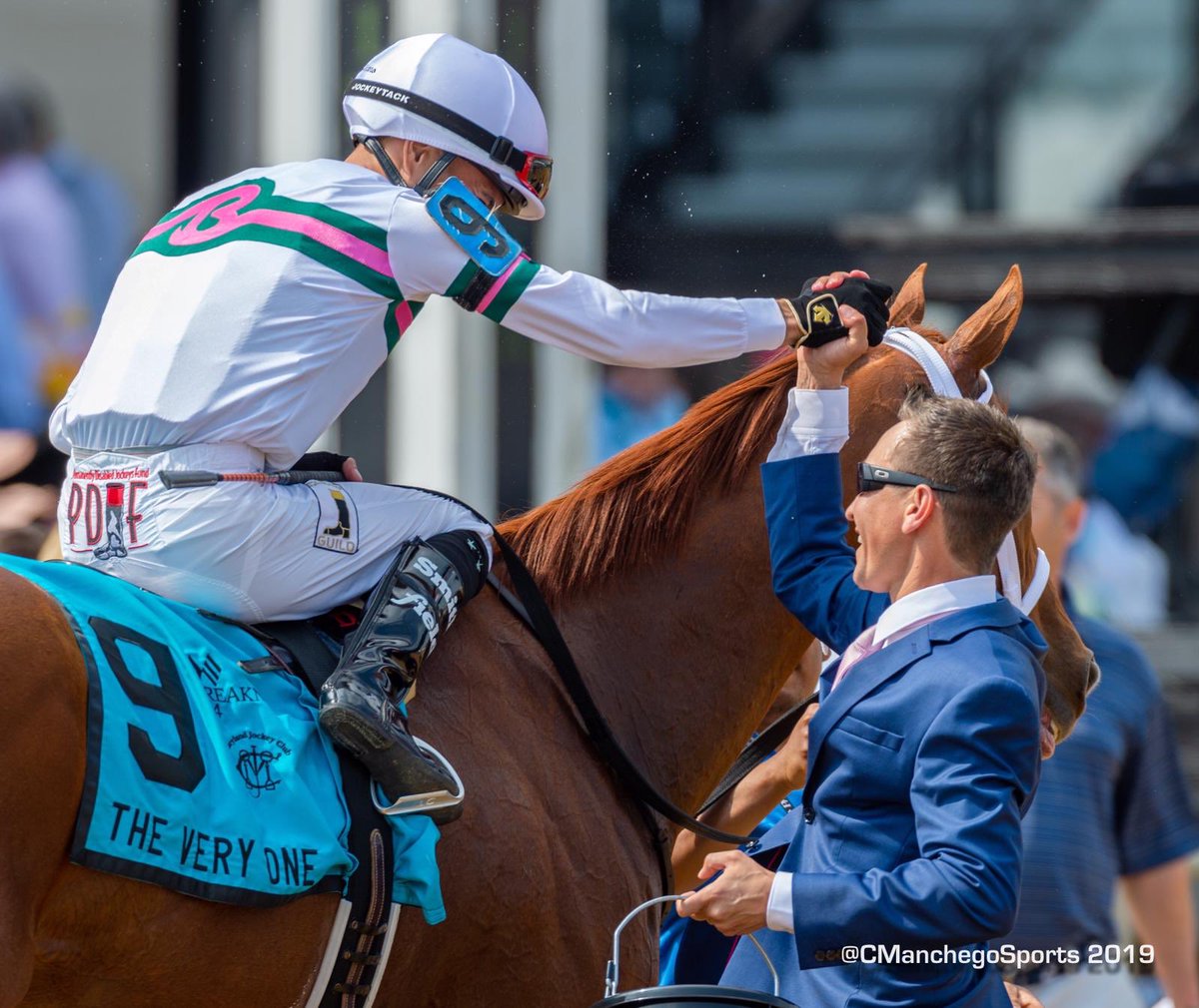 camejo stable tweet media