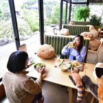 これはたまらん!森のどうぶつレストランがとにかくかわいい‼