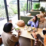 これはたまらん!森のどうぶつレストランがとにかくかわいい‼