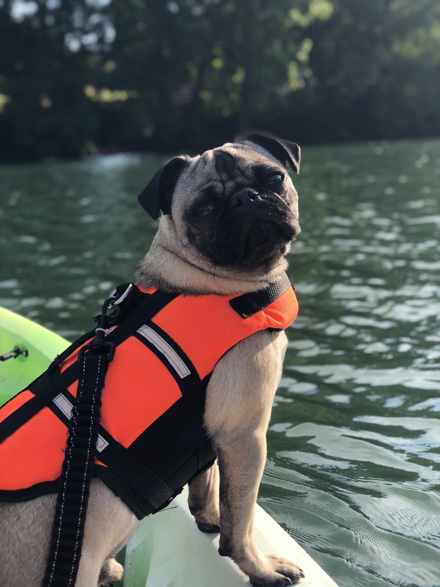 I can’t wait to take Toby back to the lake this weekend! Anyone else’s dog love to kayak? 🚣🏻‍♀️🐾 #pugmom