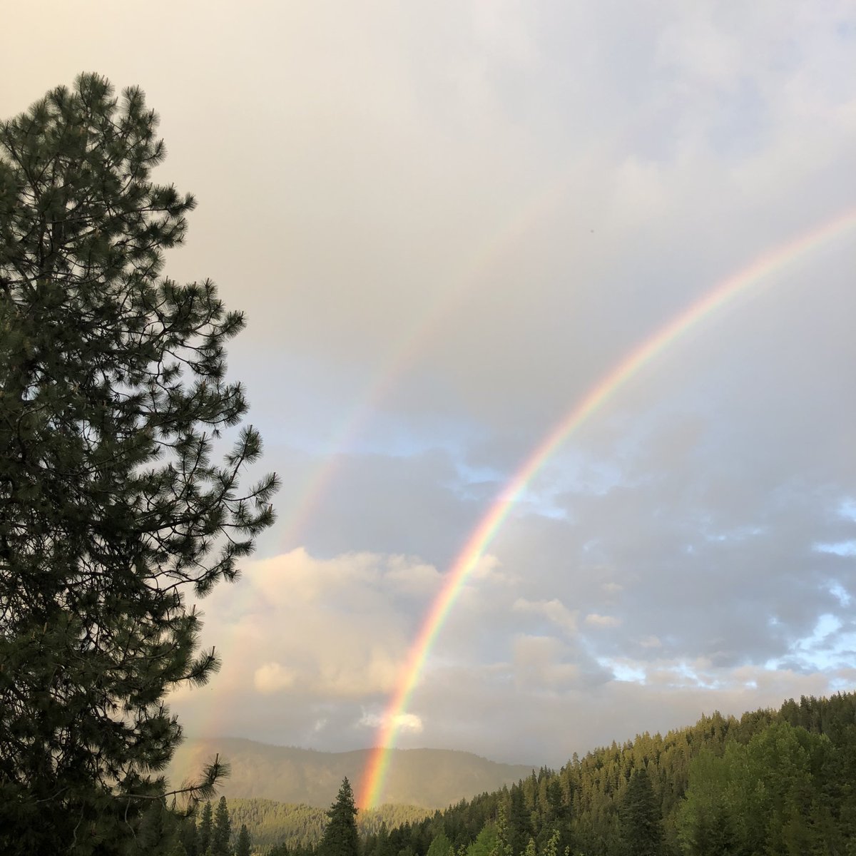 sn0wman72's tweet photo. Looking for a pot of gold! It just seems to keep moving. Amazing double rainbow tonight https://t.co/b178teRO8h