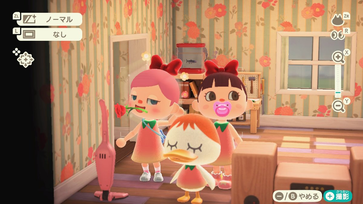 9812_9420's tweet photo. #どうぶつの森 #AnimalCrossing #ACNH #NintendoSwitch https://t.co/lt5AwjUEi5