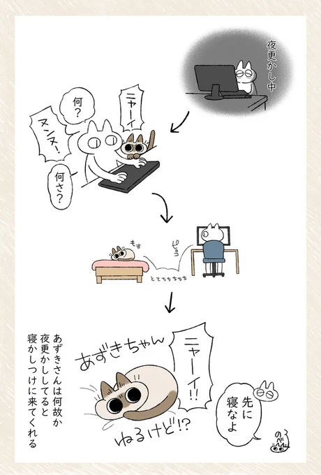 ねこちゃん意外と規則正しい #シャム猫あずきさんは世界の中心 