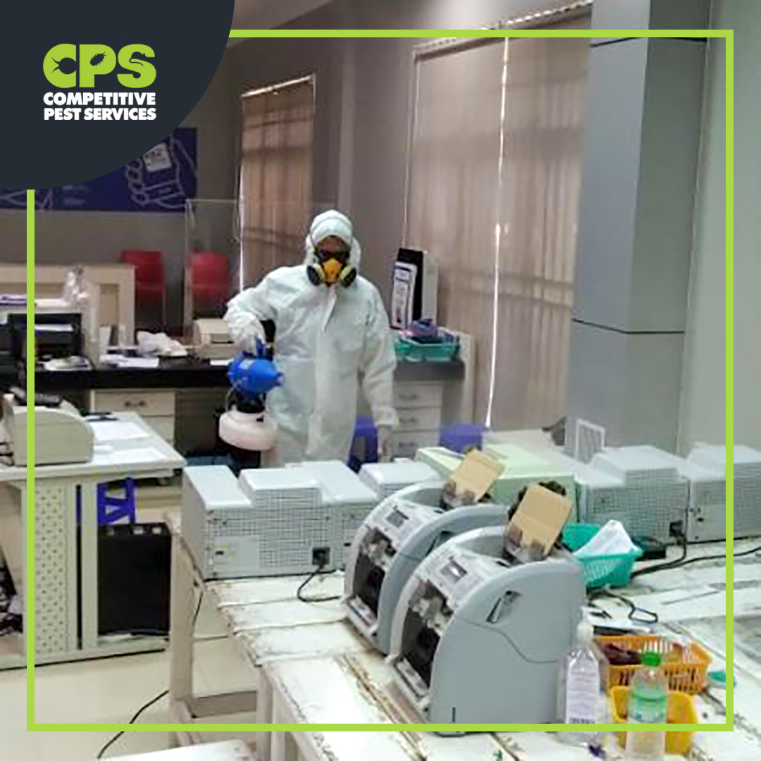 CompPestService's tweet photo. #CompetitivePestServices are doing our part to curb the spread of the contagious #CoronaVirus (COVID-19).
☎️ Call us now to get your property Disinfected 09260029232
Or contact us via Facebook Messenger 💬
 
#coronavirus #COVID19 #CoronaVirusAwareness #CoronaVirusOutbreak #CPS https://t.co/dr9CQhckWF