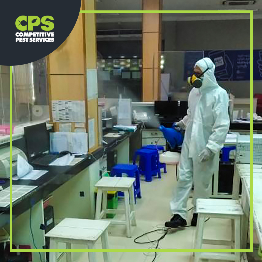 CompPestService's tweet photo. #CompetitivePestServices are doing our part to curb the spread of the contagious #CoronaVirus (COVID-19).
☎️ Call us now to get your property Disinfected 09260029232
Or contact us via Facebook Messenger 💬
 
#coronavirus #COVID19 #CoronaVirusAwareness #CoronaVirusOutbreak #CPS https://t.co/dr9CQhckWF