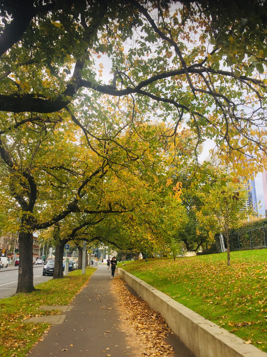 nupurnag01's tweet photo. Extended my lunchtime power walk to keep enjoy these gorgeous colours 😊 Where are you keeping #isofit?
#lifestylemedicine #fitness https://t.co/Q1vRwuwlmw