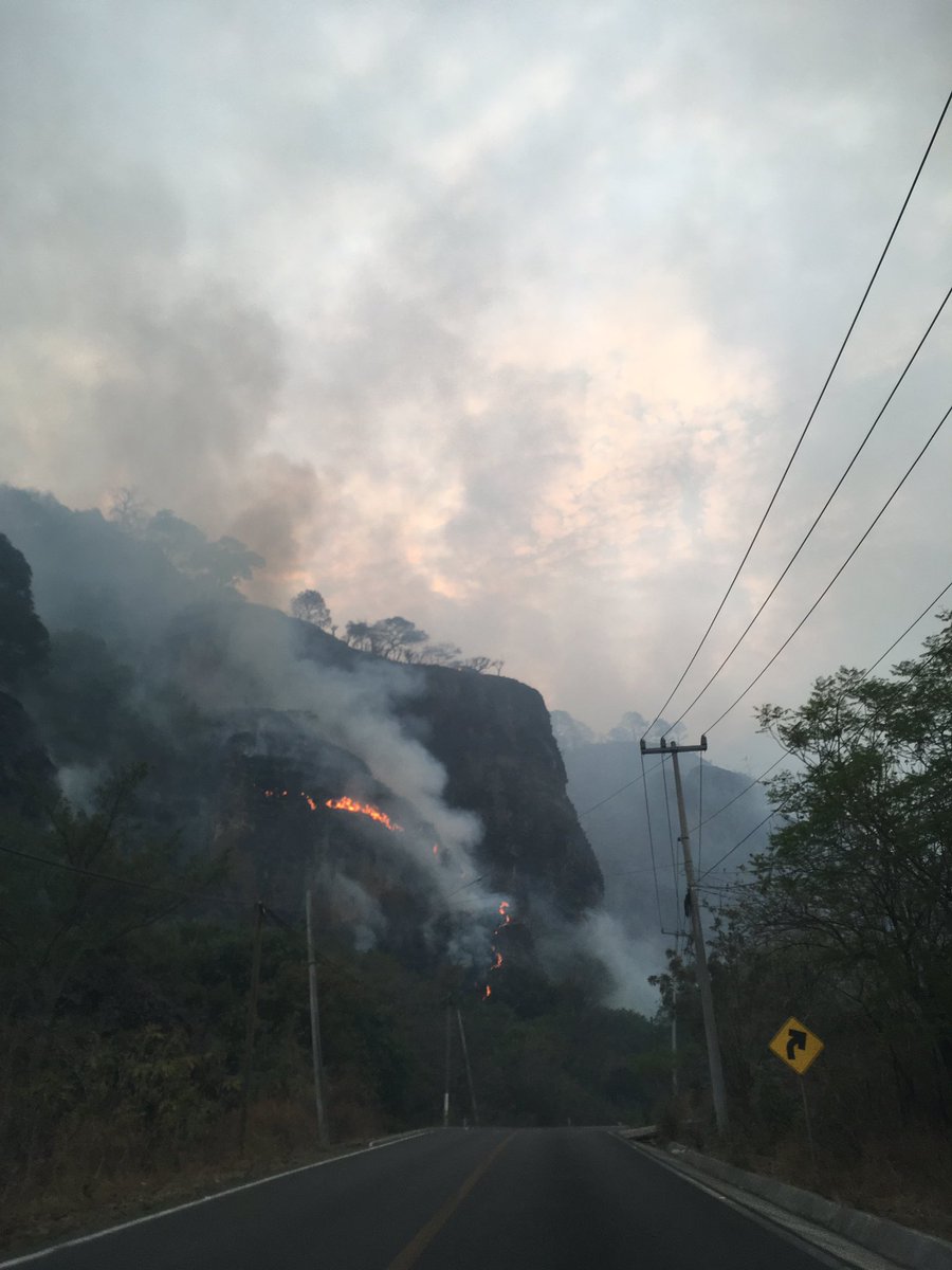 millerelisa's tweet photo. @CEECA_Morelos Cuando hicieron su recorrido? Aquí estamos muy cerca. #incendioTepoztlan urge apoyo de autoridades, helicóptero con agua. Se sigue expandiendo  @cuauhtemocb10 https://t.co/pSbtOiP7V5