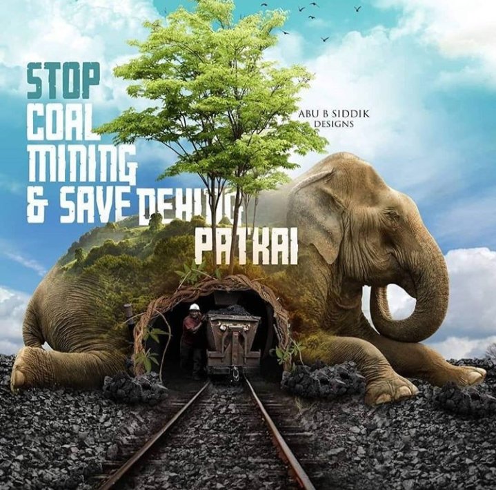 PBorah03's tweet photo. Save Dehing Patkai 
The Amazon of the east
#iamdehingpatkai 
#savedehingpatkai  
#StopCoalMiningProject
#savenature 
#savewildlife
#MotherNature https://t.co/rAKXgJmLKo