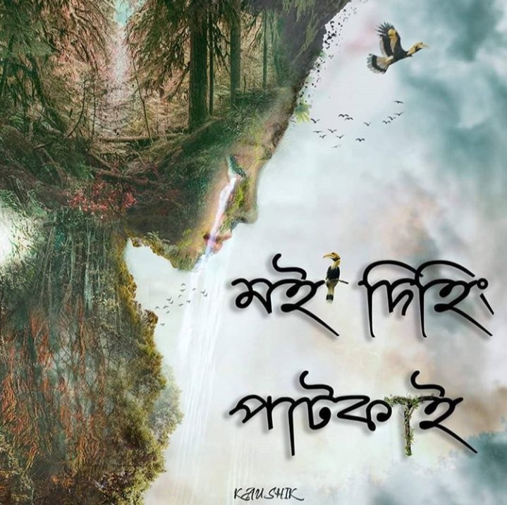 PBorah03's tweet photo. Save Dehing Patkai 
The Amazon of the east
#iamdehingpatkai 
#savedehingpatkai  
#StopCoalMiningProject
#savenature 
#savewildlife
#MotherNature https://t.co/rAKXgJmLKo