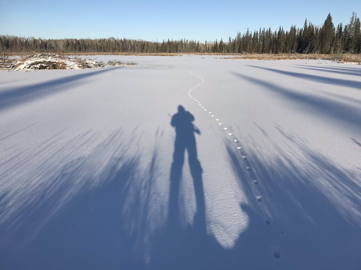 I am Old Stick Canadian and I want to keep my shit!! My family, my farm, my Job, my V8, my pork chops, my traditions, my religion, my western values, my sanity, my dog and my guns!! Does anybody have a problem with that?