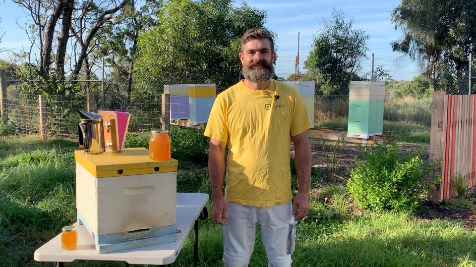 Whist their doors are closed to the public, the team at ‘We Love Bees’ have launched an Online Bee School to help children understand the role bees play as part of a healthy and sustainable food system - just in time for World Bee Day today bit.ly/2WDZsEw