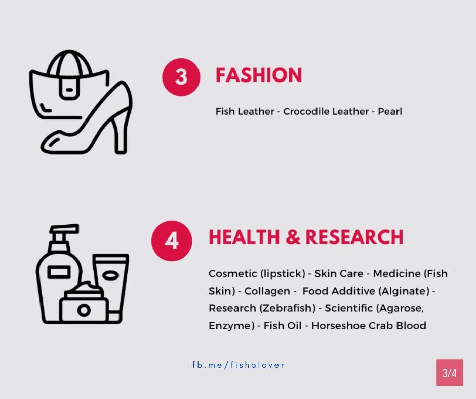 fisholover's tweet photo. Here's top six products from aquaculture industry. Can you think of others? #scicomm https://t.co/tLHJupubYb