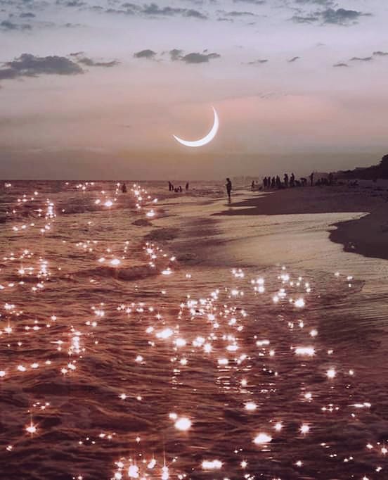 Te perdiste de un enorme corazón que se encuentra en estos tiempos en peligro de extinción... De esos que dan serenata pero con su propia voz.