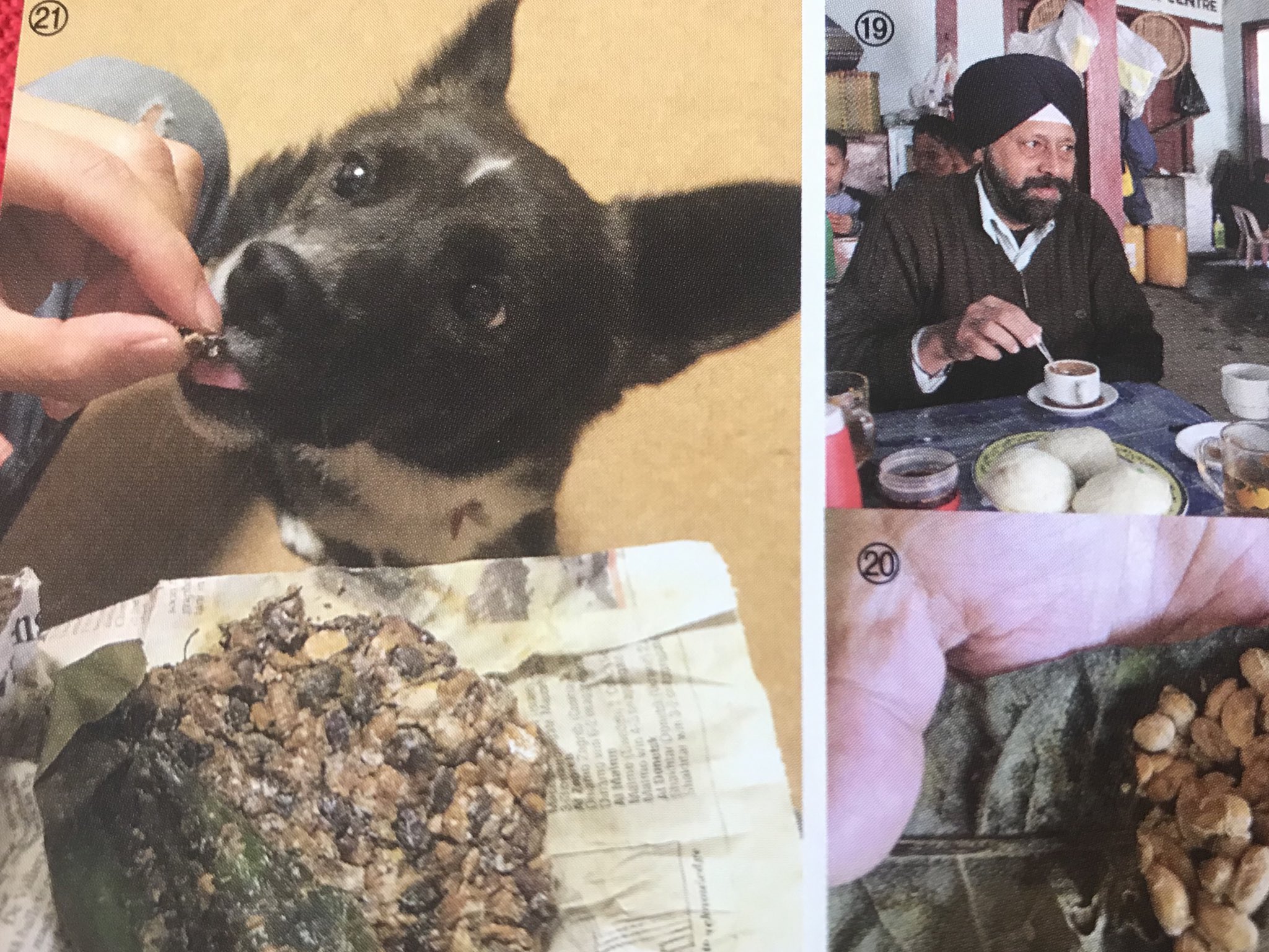 高野秀行 文庫化されるとどうしても写真は小さくなるけど 国際納豆犬 マドの写真はなぜか大きくなった しかも隣はシーク教徒のおじさん T Co Fbh5wn08mo Twitter
