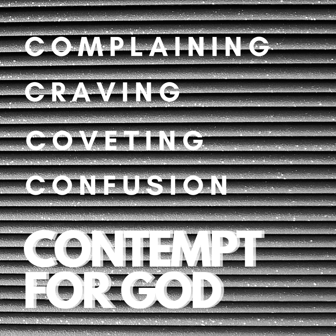 MyMiamiValley's tweet photo. // I am not saying this because I am in need, for I have learned to be content whatever the circumstances. Philippians 4:11 // https://t.co/vs7XbxWMFk