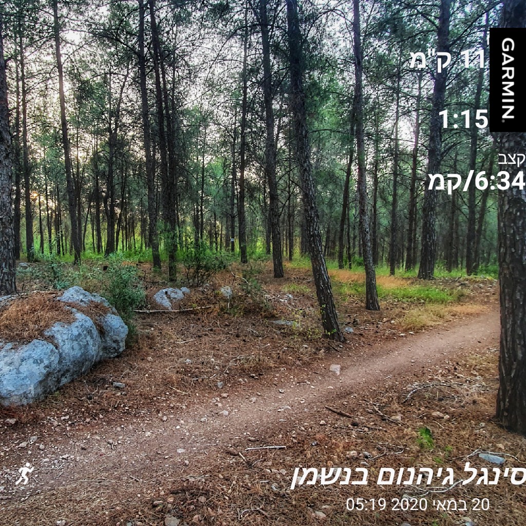 PopperNet's tweet image. #garmin #זזנו