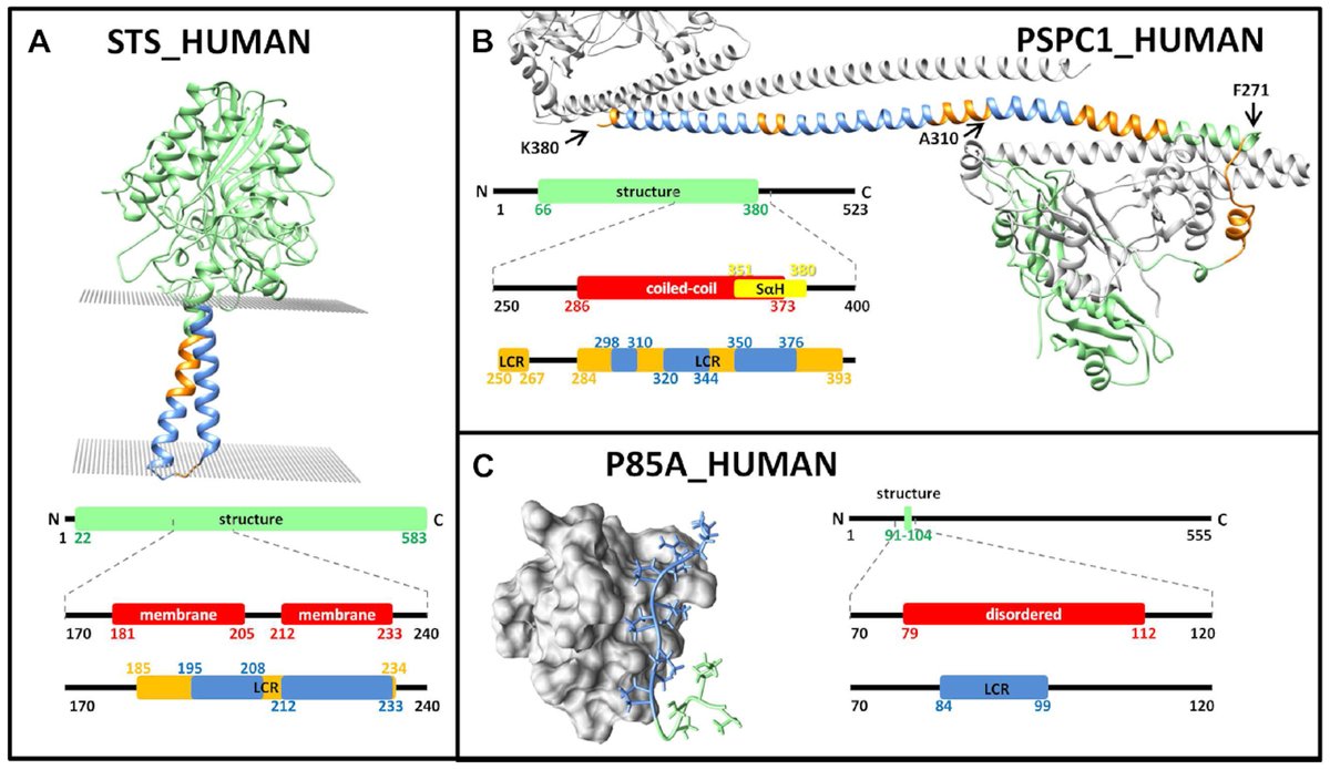 refract_rise's tweet photo. PlaToLoCo, the first web server for visualization and annotation of low complexity regions in proteins, is online! Check our publication at https://t.co/BlbahYvKbs https://t.co/ztZE7pe8hp