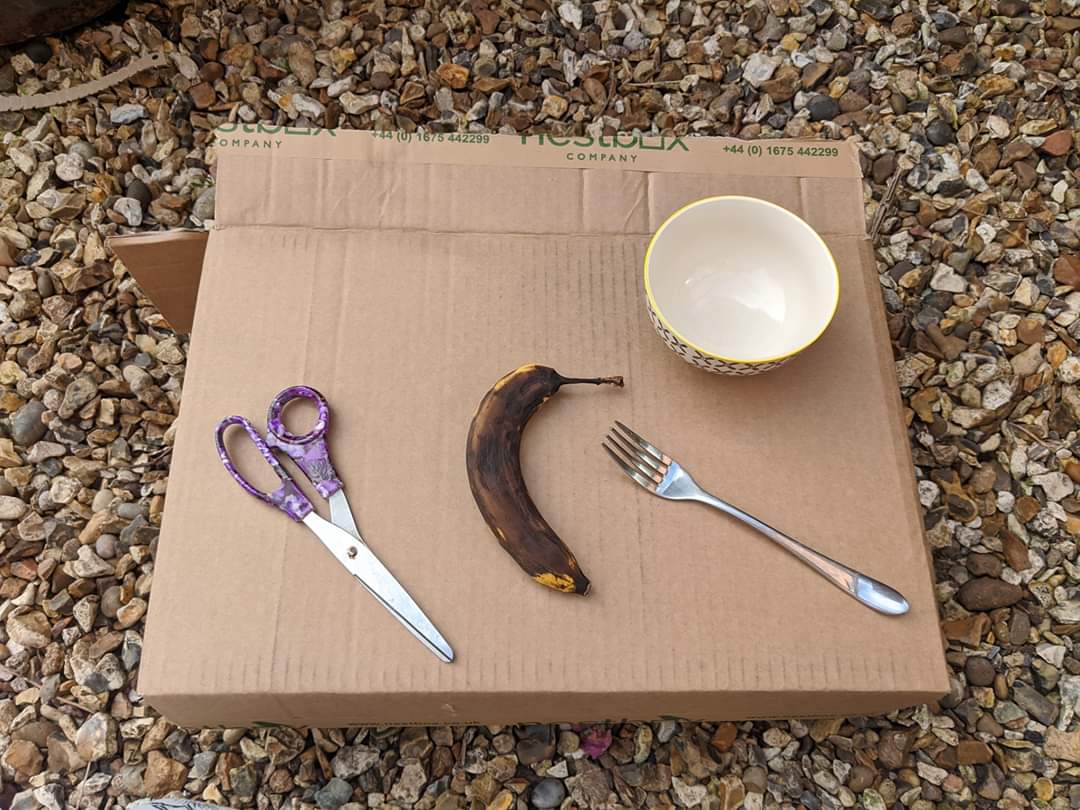 NaturePuriton's tweet photo. We're promised a sunny day today, so if you're fed up of banana bread, why not put your over-ripe bananas to good use and attract some butterflies to the garden? 
Mash it up, put it on some cardboard or a paper plate and string it up in the garden. 

Idea from RSPB @Natures_Voice https://t.co/epwV7IIuCq